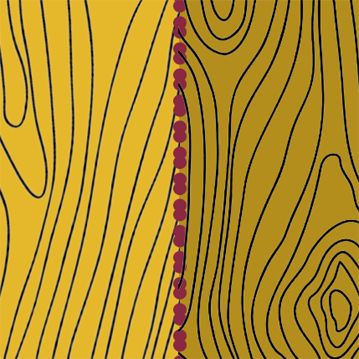 AutoMorph-Logo
